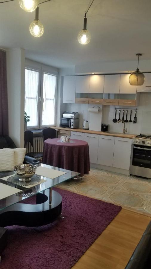 Apartament Zamosc Fiolet Buitenkant foto